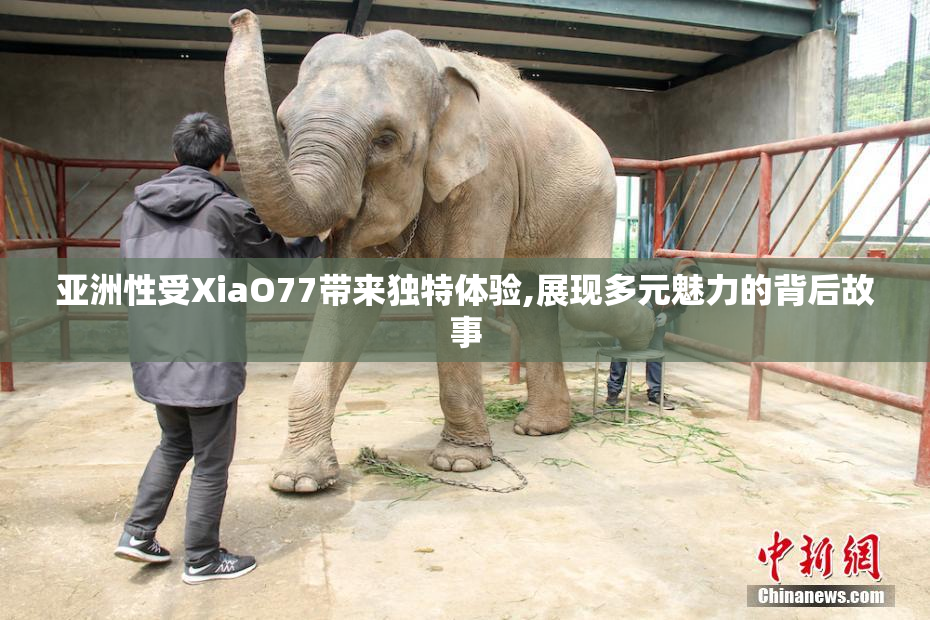 亚洲性受XiaO77带来独特体验,展现多元魅力的背后故事