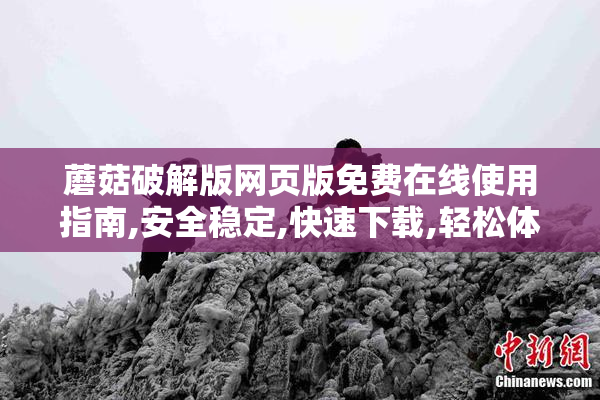 蘑菇破解版网页版免费在线使用指南,安全稳定,快速下载,轻松体验