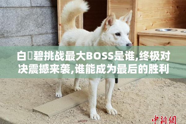 白咲碧挑战最大BOSS是谁,终极对决震撼来袭,谁能成为最后的胜利者