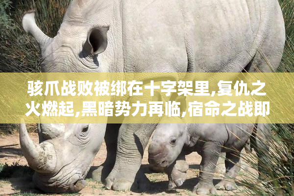 骇爪战败被绑在十字架里,复仇之火燃起,黑暗势力再临,宿命之战即将