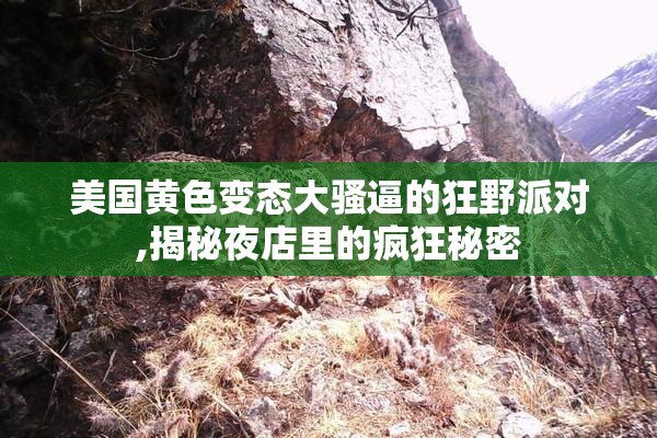 美国黄色变态大骚逼的狂野派对,揭秘夜店里的疯狂秘密