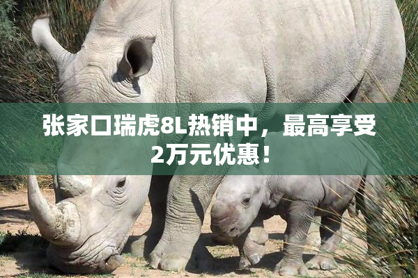张家口瑞虎8L热销中，最高享受2万元优惠！