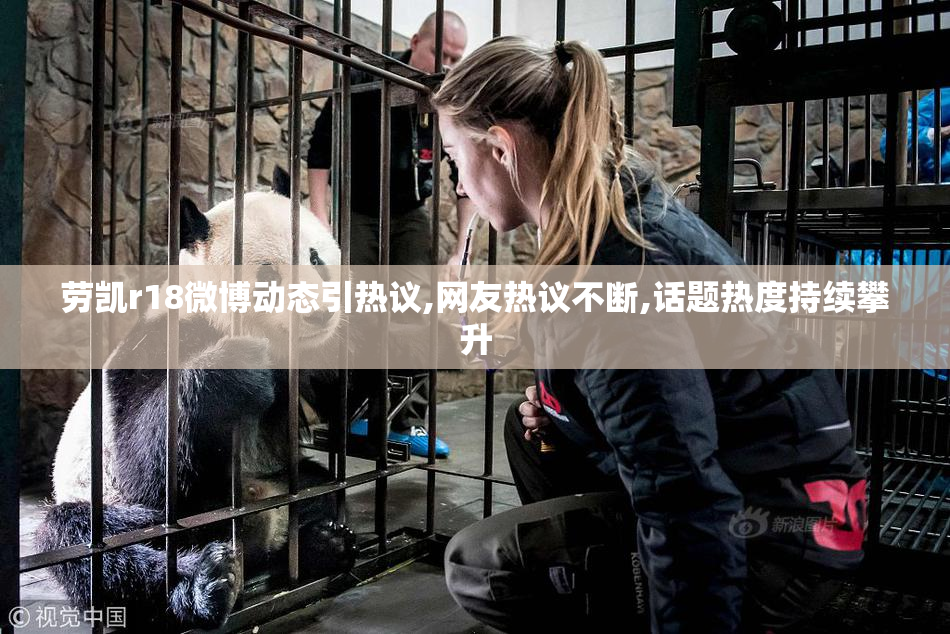 劳凯r18微博动态引热议,网友热议不断,话题热度持续攀升