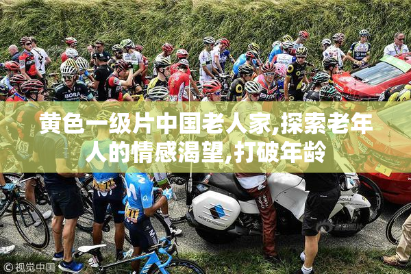 黄色一级片中国老人家,探索老年人的情感渴望,打破年龄