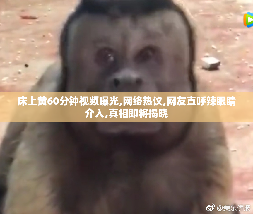 床上黄60分钟视频曝光,网络热议,网友直呼辣眼睛介入,真相即将揭晓