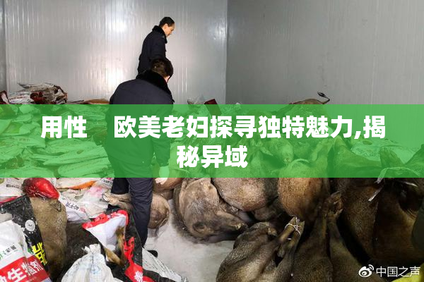 用性    欧美老妇探寻独特魅力,揭秘异域