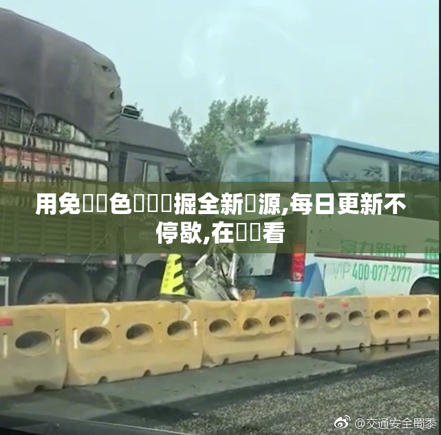 用免費黃色視頻發掘全新資源,每日更新不停歇,在線觀看