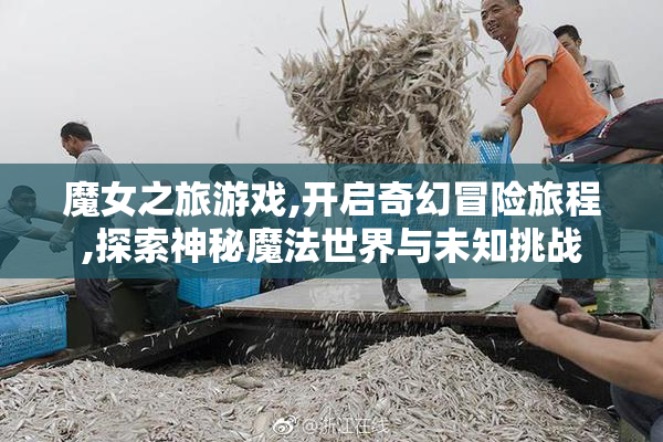 魔女之旅游戏,开启奇幻冒险旅程,探索神秘魔法世界与未知挑战