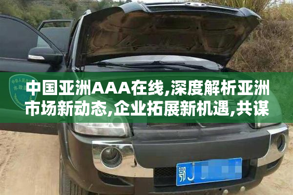 中国亚洲AAA在线,深度解析亚洲市场新动态,企业拓展新机遇,共谋