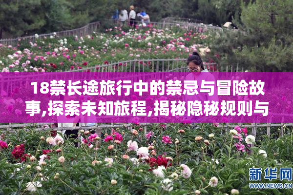 18禁长途旅行中的禁忌与冒险故事,探索未知旅程,揭秘隐秘规则与