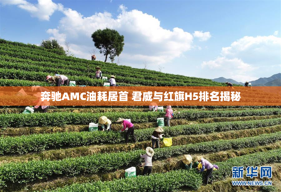 奔驰AMC油耗居首 君威与红旗H5排名揭秘