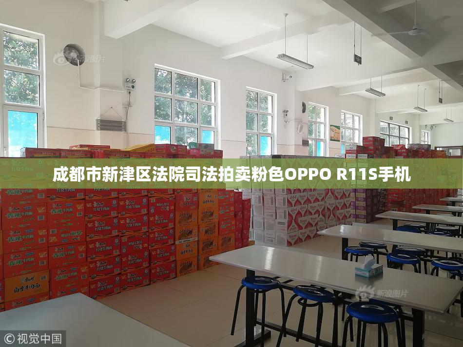 成都市新津区法院司法拍卖粉色OPPO R11S手机