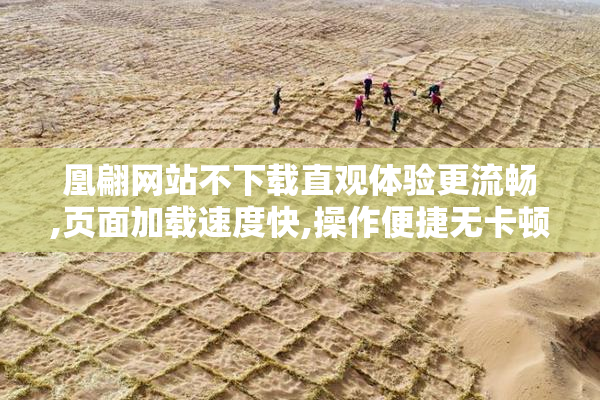 凰翩网站不下载直观体验更流畅,页面加载速度快,操作便捷无卡顿