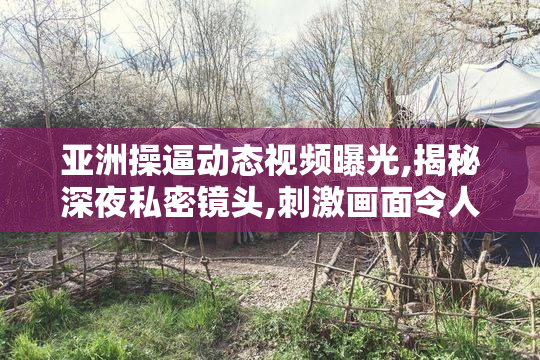 亚洲操逼动态视频曝光,揭秘深夜私密镜头,刺激画面令人
