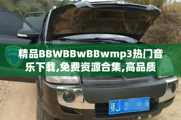 精品BBWBBwBBwmp3热门音乐下载,免费资源合集,高品质