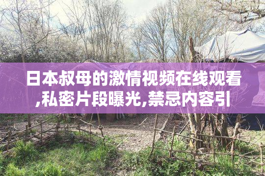 日本叔母的激情视频在线观看,私密片段曝光,禁忌内容引