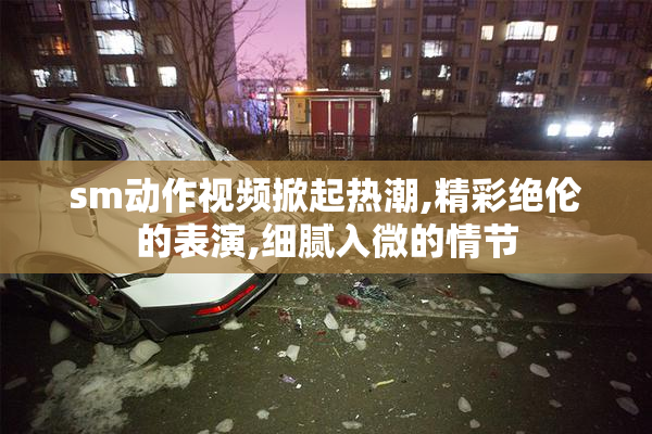 sm动作视频掀起热潮,精彩绝伦的表演,细腻入微的情节