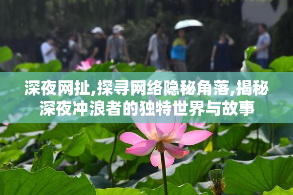 深夜网扯,探寻网络隐秘角落,揭秘深夜冲浪者的独特世界与故事