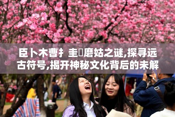臣卜木曹扌圭畐磨姑之谜,探寻远古符号,揭开神秘文化背后的未解之谜