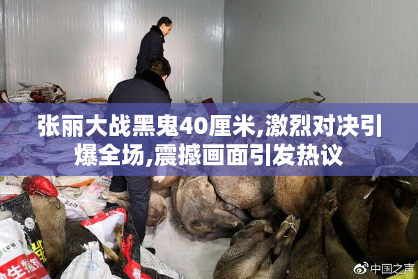 张丽大战黑鬼40厘米,激烈对决引爆全场,震撼画面引发热议