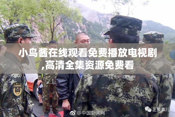 小鸟酱在线观看免费播放电视剧,高清全集资源免费看
