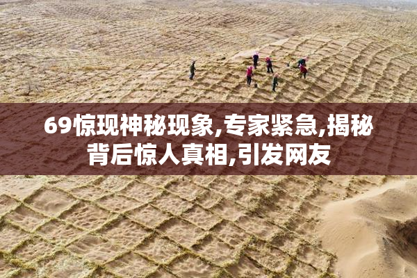 69惊现神秘现象,专家紧急,揭秘背后惊人真相,引发网友