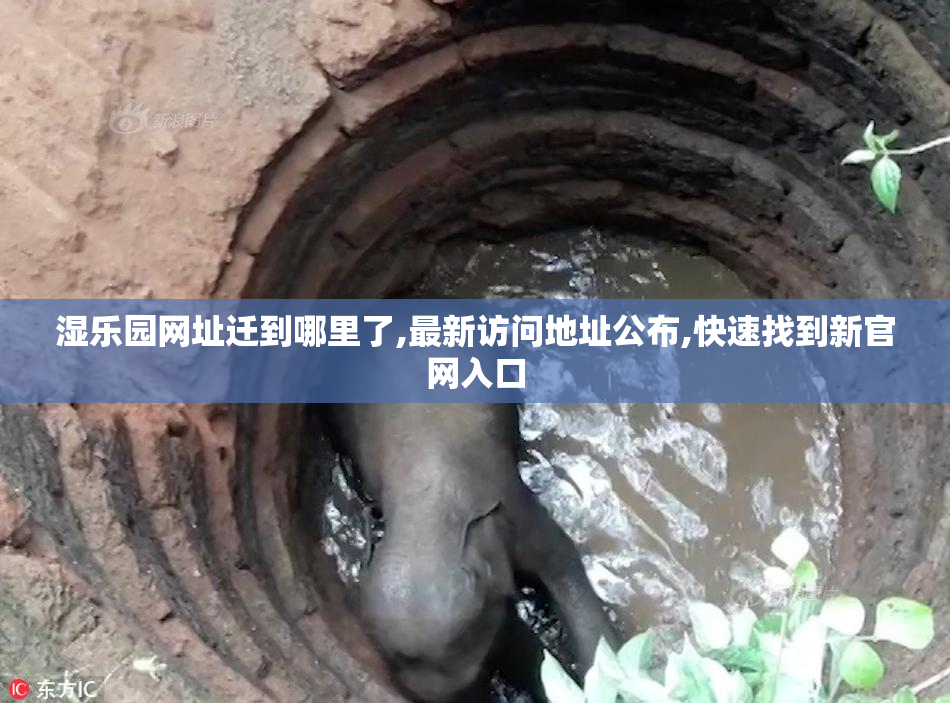 湿乐园网址迁到哪里了,最新访问地址公布,快速找到新官网入口