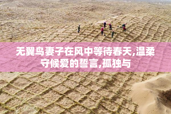 无翼鸟妻子在风中等待春天,温柔守候爱的誓言,孤独与