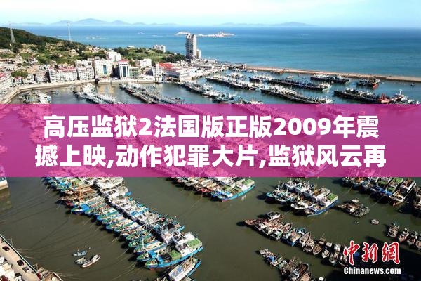 高压监狱2法国版正版2009年震撼上映,动作犯罪大片,监狱风云再起