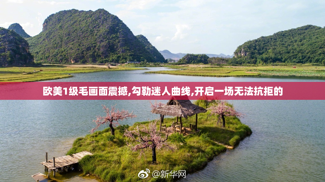欧美1级毛画面震撼,勾勒迷人曲线,开启一场无法抗拒的