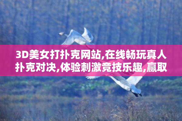 3D美女打扑克网站,在线畅玩真人扑克对决,体验刺激竞技乐趣,赢取