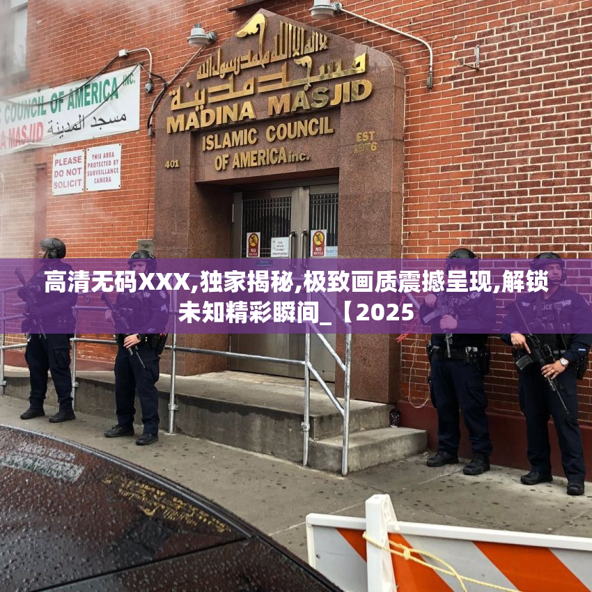 高清无码XXX,独家揭秘,极致画质震撼呈现,解锁未知精彩瞬间_【2025