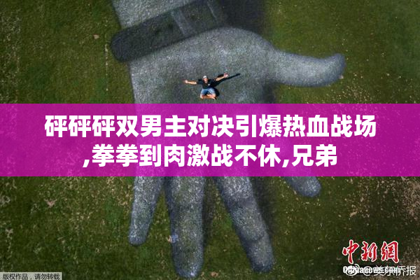 砰砰砰双男主对决引爆热血战场,拳拳到肉激战不休,兄弟