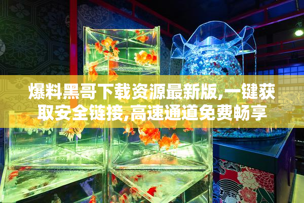 爆料黑哥下载资源最新版,一键获取安全链接,高速通道免费畅享
