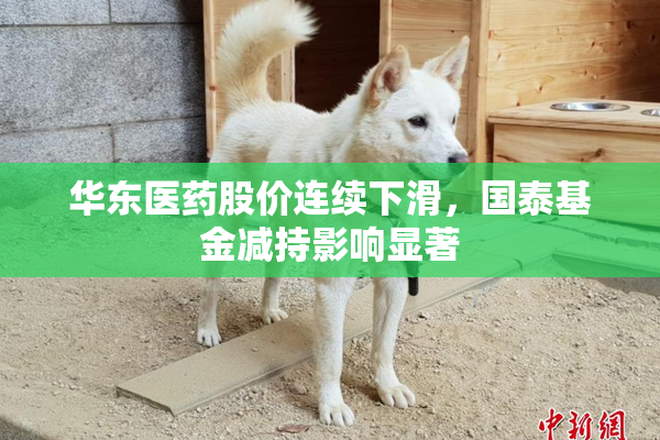 华东医药股价连续下滑，国泰基金减持影响显著