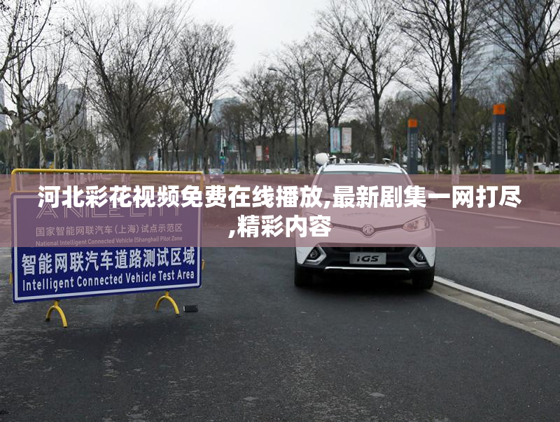 河北彩花视频免费在线播放,最新剧集一网打尽,精彩内容