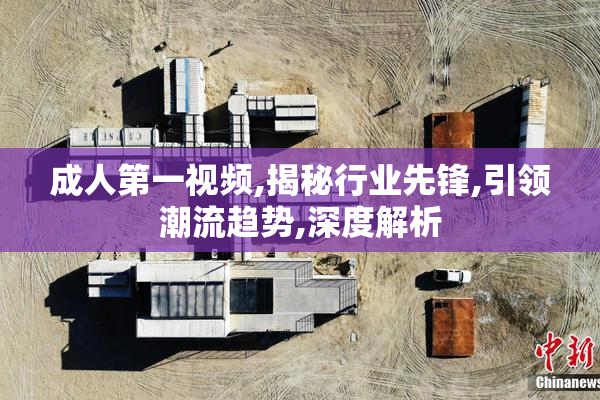 成人第一视频,揭秘行业先锋,引领潮流趋势,深度解析