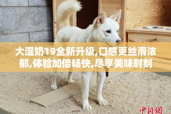 大湿奶19全新升级,口感更丝滑浓郁,体验加倍畅快,尽享美味时刻