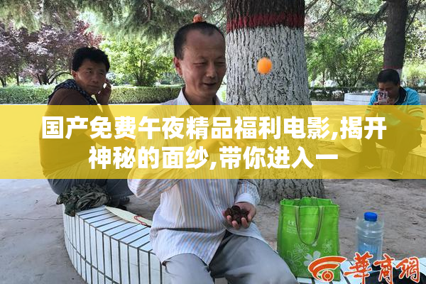 国产免费午夜精品福利电影,揭开神秘的面纱,带你进入一
