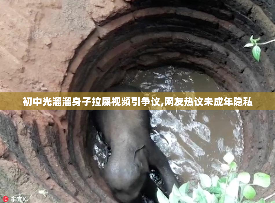 初中光溜溜身子拉屎视频引争议,网友热议未成年隐私