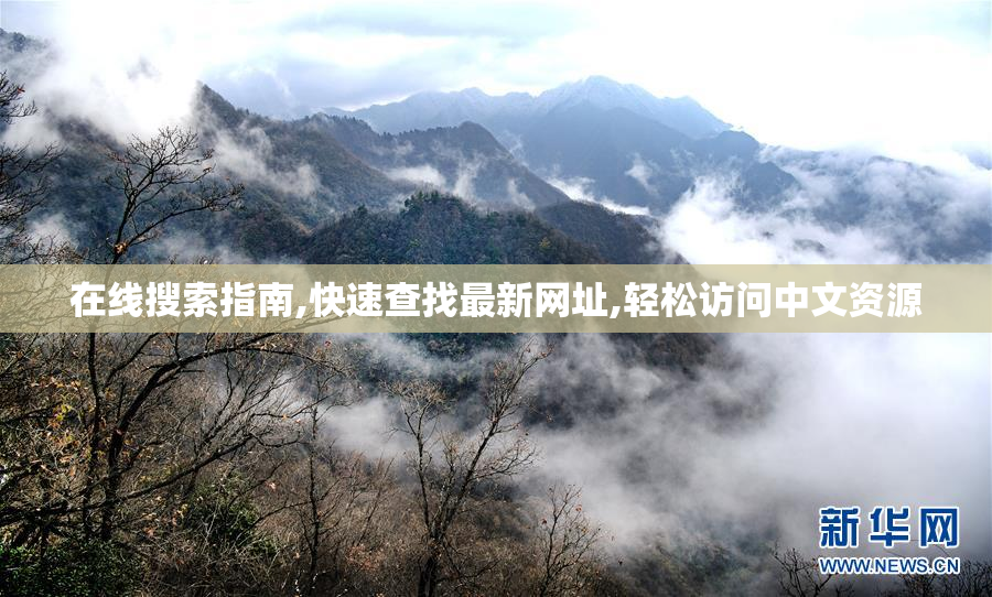 在线搜索指南,快速查找最新网址,轻松访问中文资源