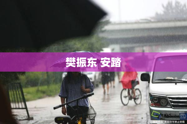 樊振东 安踏