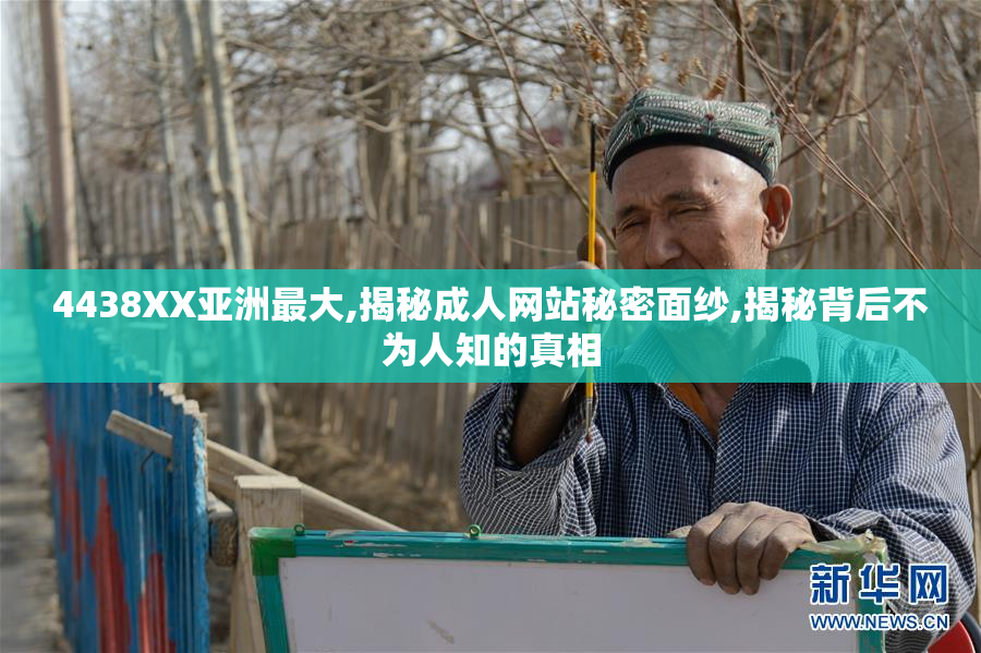 4438XX亚洲最大,揭秘成人网站秘密面纱,揭秘背后不为人知的真相
