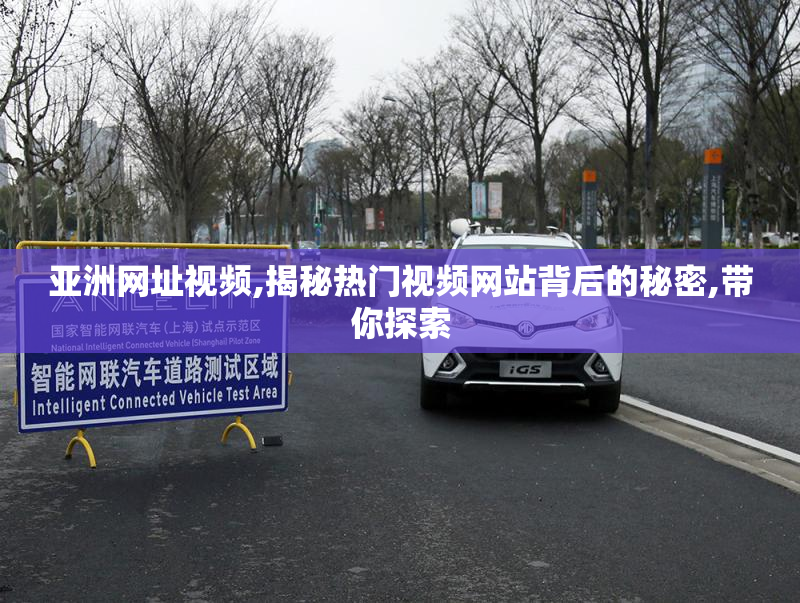 亚洲网址视频,揭秘热门视频网站背后的秘密,带你探索