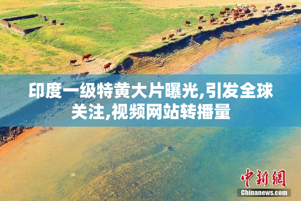 印度一级特黄大片曝光,引发全球关注,视频网站转播量