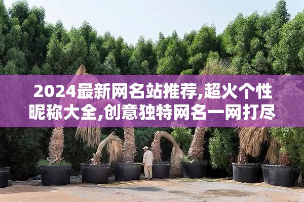 2024最新网名站推荐,超火个性昵称大全,创意独特网名一网打尽