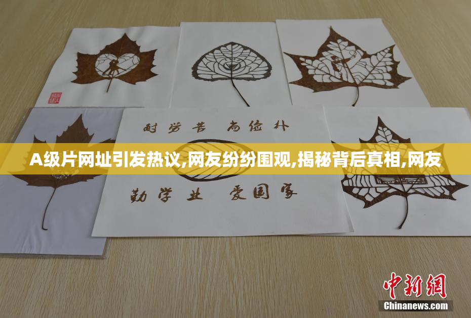 A级片网址引发热议,网友纷纷围观,揭秘背后真相,网友