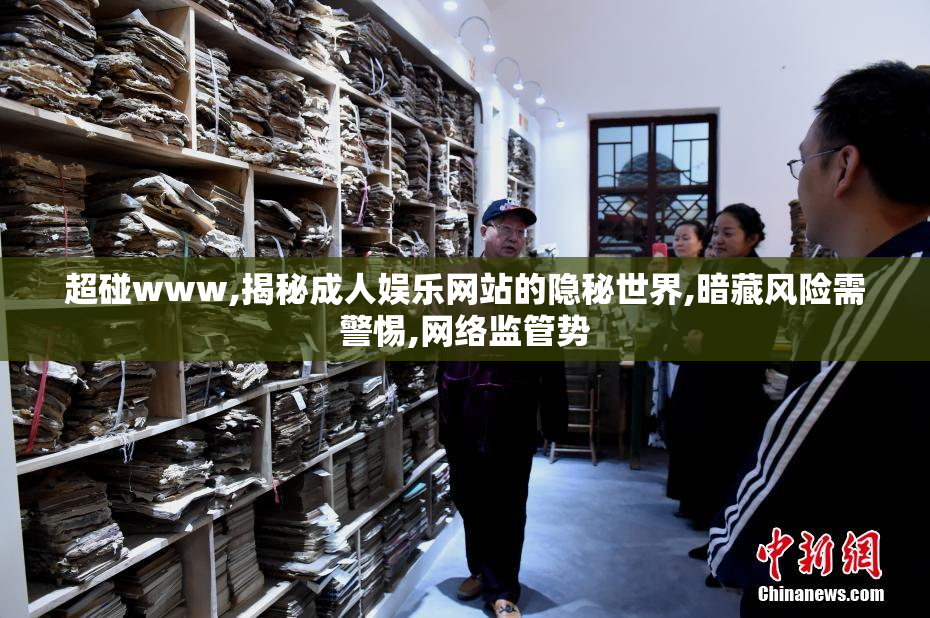 超碰www,揭秘成人娱乐网站的隐秘世界,暗藏风险需警惕,网络监管势