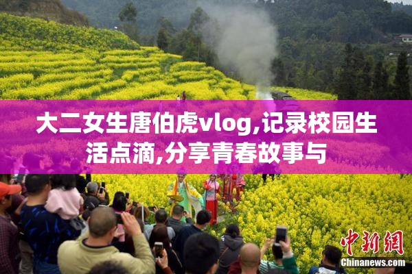 大二女生唐伯虎vlog,记录校园生活点滴,分享青春故事与