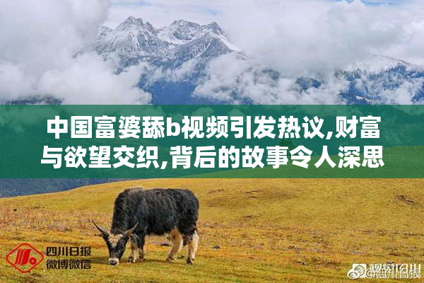 中国富婆舔b视频引发热议,财富与欲望交织,背后的故事令人深思感慨